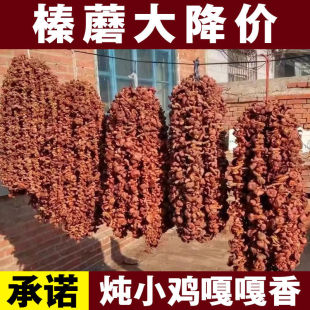 2025�|���خaҰ���Ģ����؛С�u��Ģ���L��ɽ��Ģ�o����؛