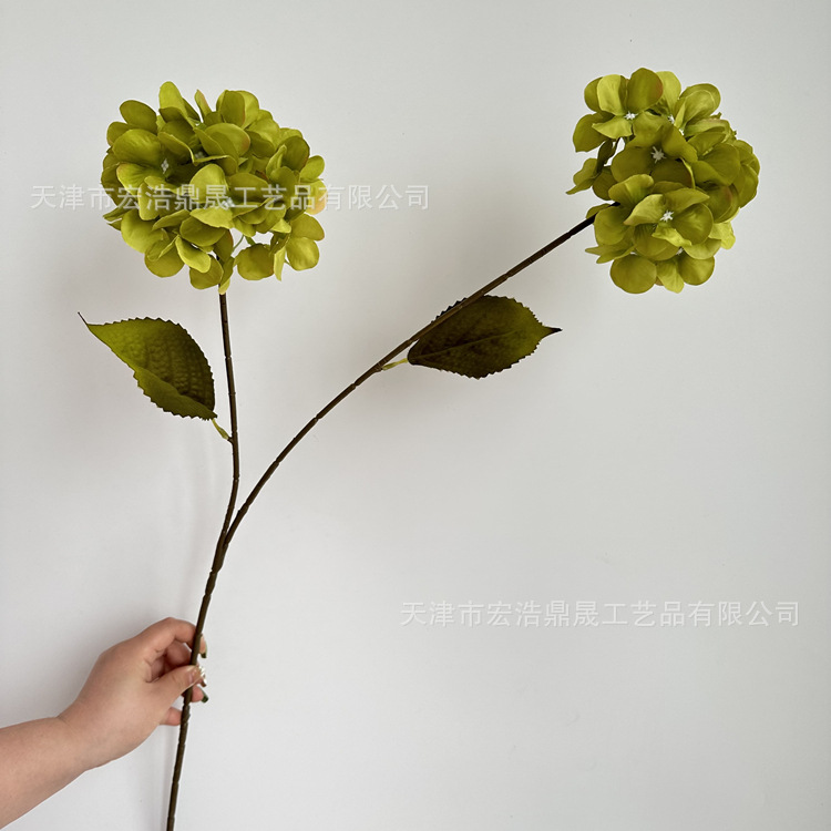 微信图片_2023032116361410_副本