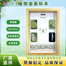 生物教学器材;教学仪器;实验室仪器