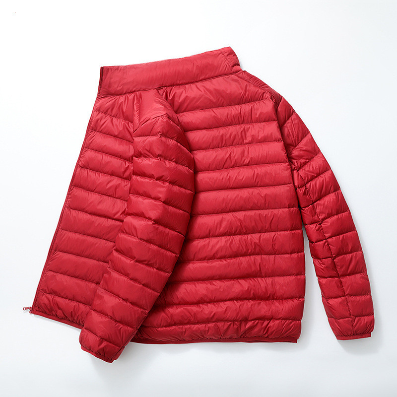 다크 레드 [수집]