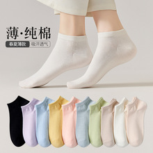 �����m��Ů������m���������o���mȫ��Ů�m���Ŀ��ǹ�ɫ�m�����l