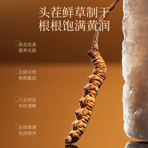 Qili Xiang Tianwen Cordyceps Sinensis Gift Box (10g, 50 Strips), Originating from Qinghai—Pure, Undamaged Cordyceps Militaris