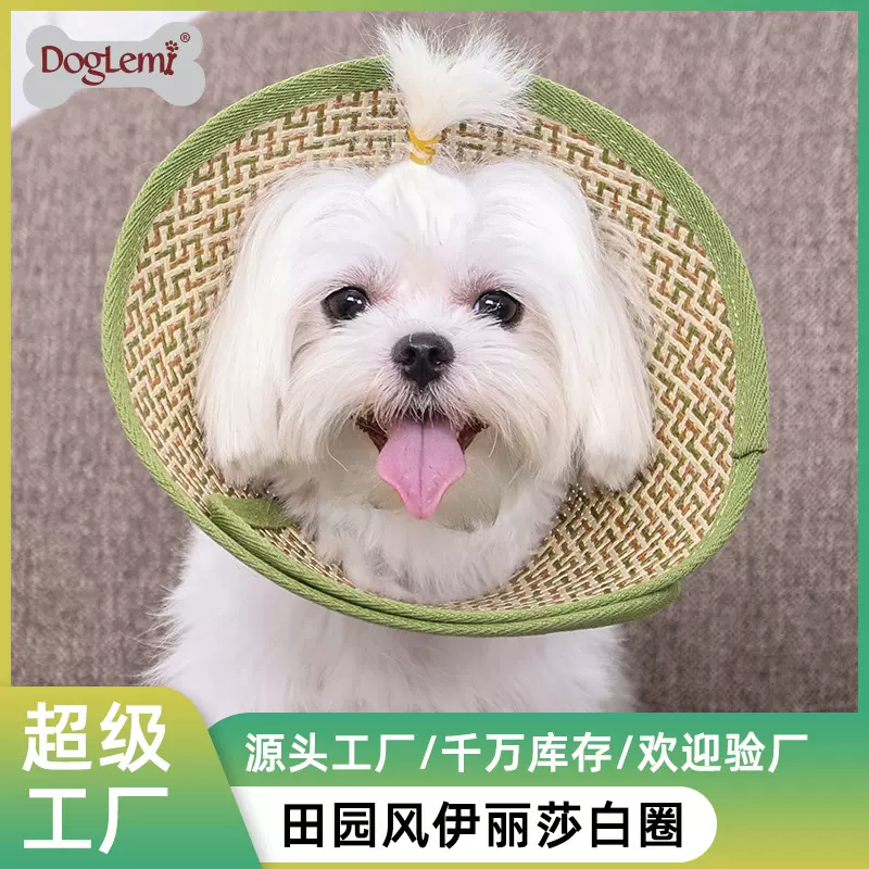 多乐米宠物伊丽莎白圈 猫咪小型犬狗狗头套项圈用品防咬防舔圈