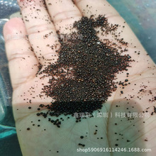 ��Romonta������Ȼ��úϞ �ɵ�Ϟ Ь��Ϟ �ذ�Ϟ �Ϲ�Ϟ