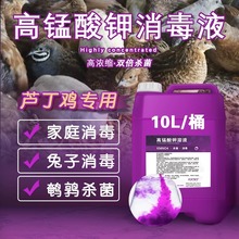 高锰酸钾兽用消毒液消菌药净水剂鱼塘乌龟养殖场鸡用高猛钾酸溶液