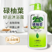 �����µ���~��ԡ¶��ݱ����\�x���������~��ù�ޚ�ԡ��ȥ���W��