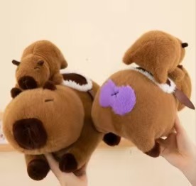 카피바라가 해변으로 들어오다