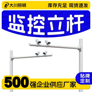 交通监控立杆城市道路小区摄像头监控支柱工厂景区公园枪机八角杆