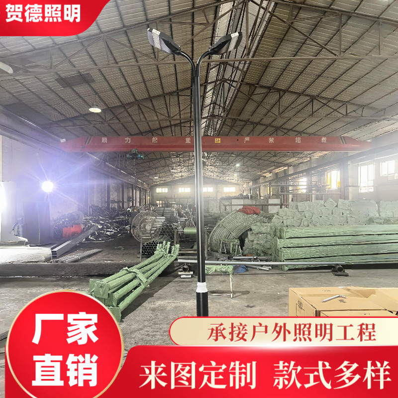 定制庭院灯头户外景观灯公园高杆灯多头小区道路物业路灯维修改造