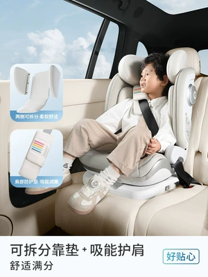 Other vehicle seats: Other Seat Portable