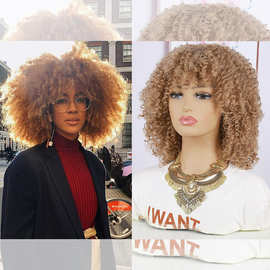 亚马逊新品假发 欧美非洲小卷假发女hair wigs化纤假发头套