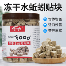 冻干水蚯蚓贴块红线虫赤虫干鱼粮六角恐龙粘贴鱼食观赏鱼冻干饲料