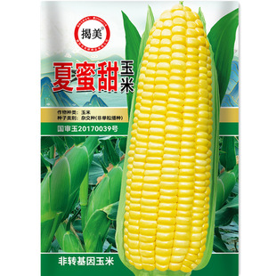 �����s�����������׷N�� �߮a�rʳ����S���׷N�� ����N��15���b