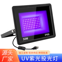 跨境亚马逊户外防水led投光灯100w泛光灯UV/紫光395nm草坪庭院灯