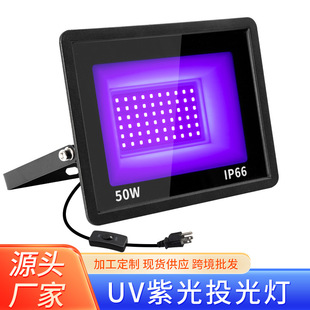 Cross-Border Amazon Outdoor Waterproof Led Floodlight 100W Floodlight Uv/Purple Light 395Nm Lawn Garden Light