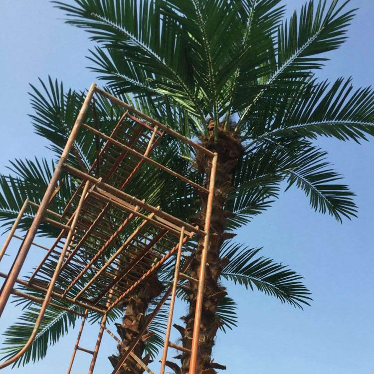 Palmeras de simulación de interiores y exteriores Palmeras de girasol de ancianos Simulación de paisaje Parque de plantas Cinturón verde Decoración Palmeras falsas