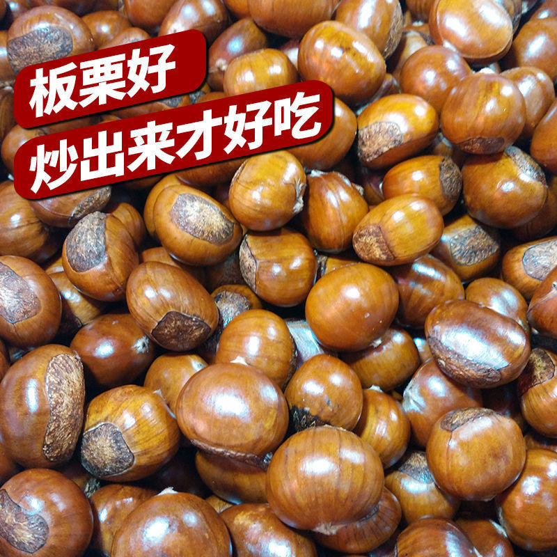 迁西板栗生鲜带壳油栗子精选鲜栗仁生板栗颗大饱满批发包邮厂批发