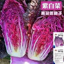 ��ɫ��ײ˷N�� ��ɫ�߲� ���＾����S�İײ�С�������N�ײ�