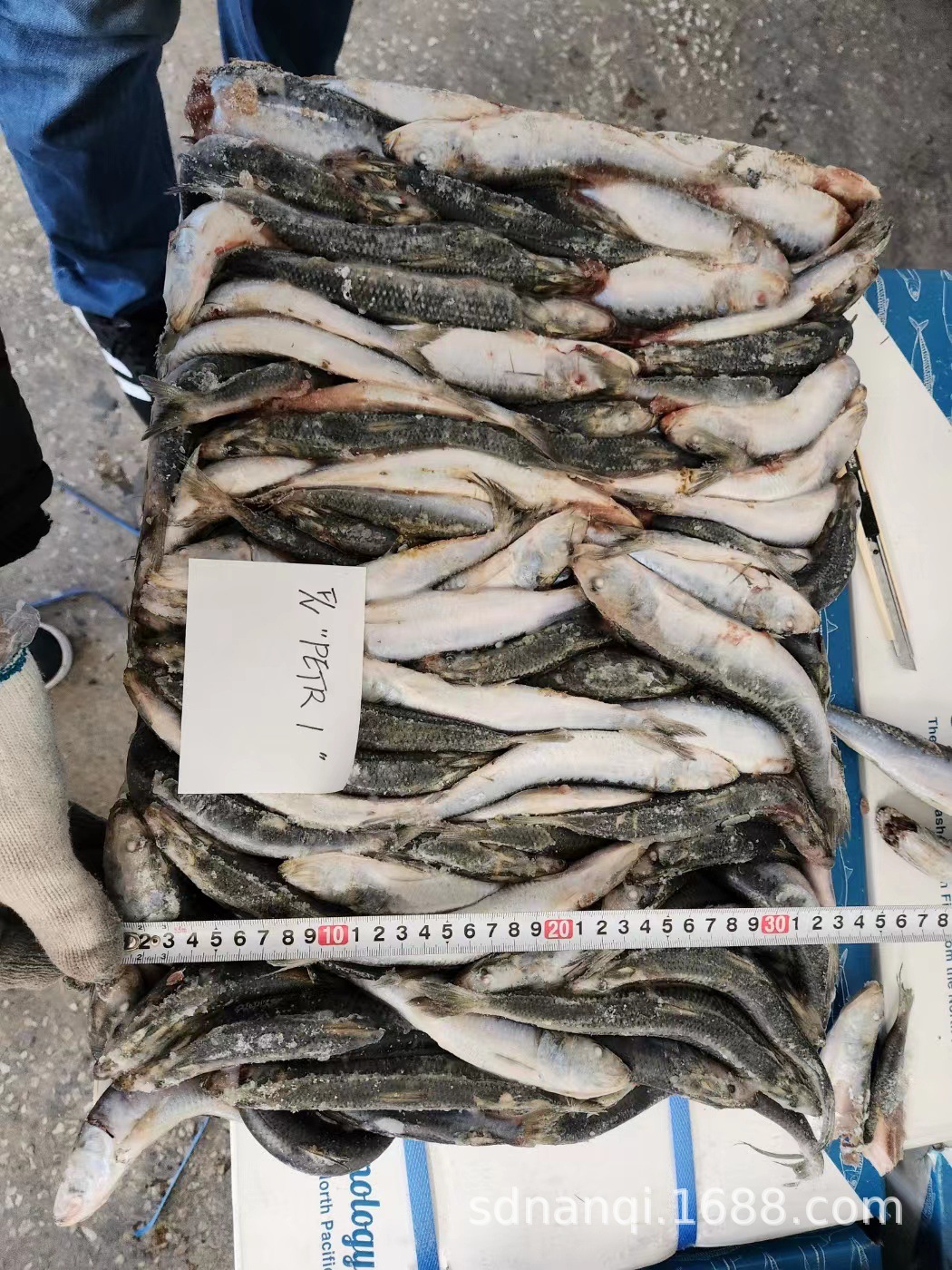 山东南启水产贸易有限公司 微信图片_20230102154119.jpg