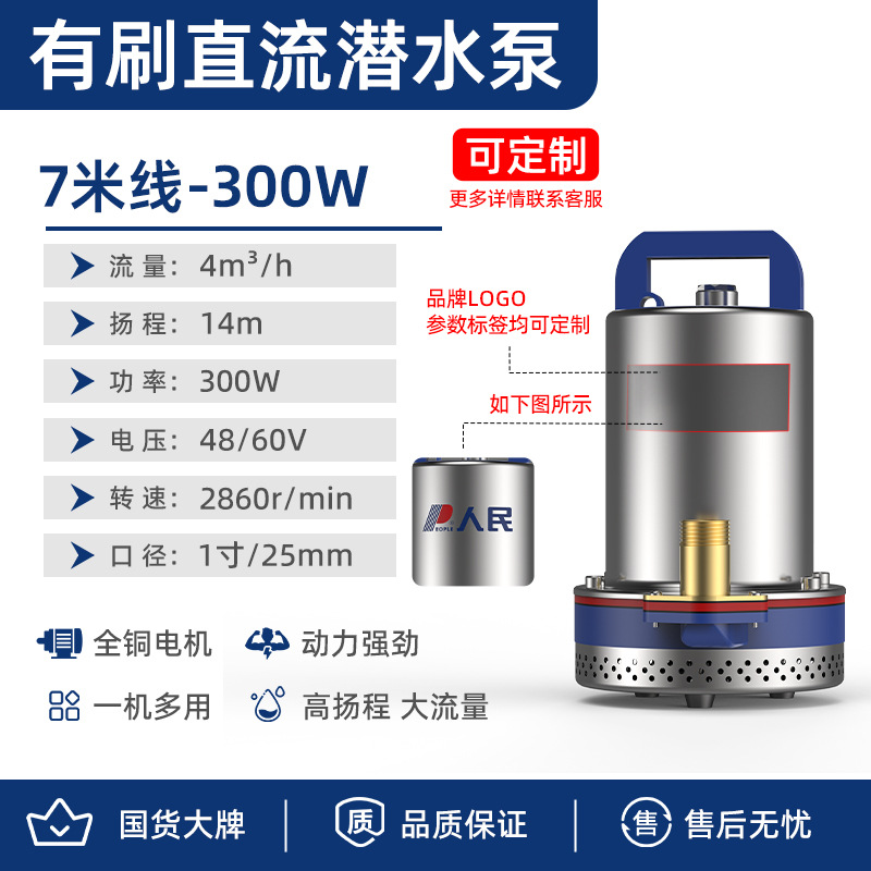 Gente DC bomba sumergible batería coche bomba de agua riego agrícola acero inoxidable 48/60V pequeña bomba