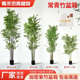 �ɲ�ж�����������Գ�������p�ż���ë�����������쾰���~�b�