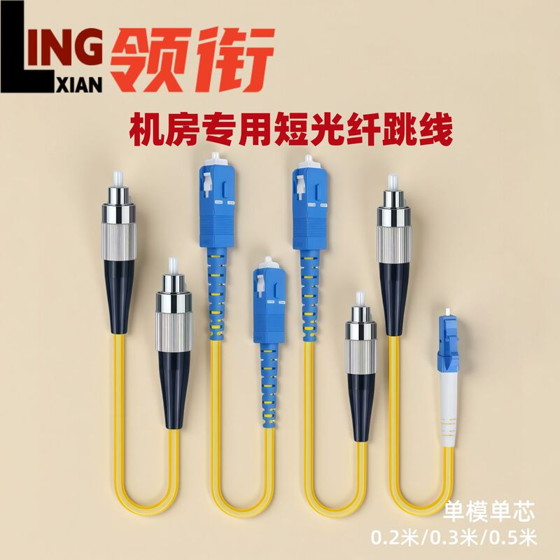 Short Fiber Optic Patch Cord 10/20/30/ 50cm 0.5m 0.5m Single-Mode Multi-Mode 10g Fc-Sc-Lc