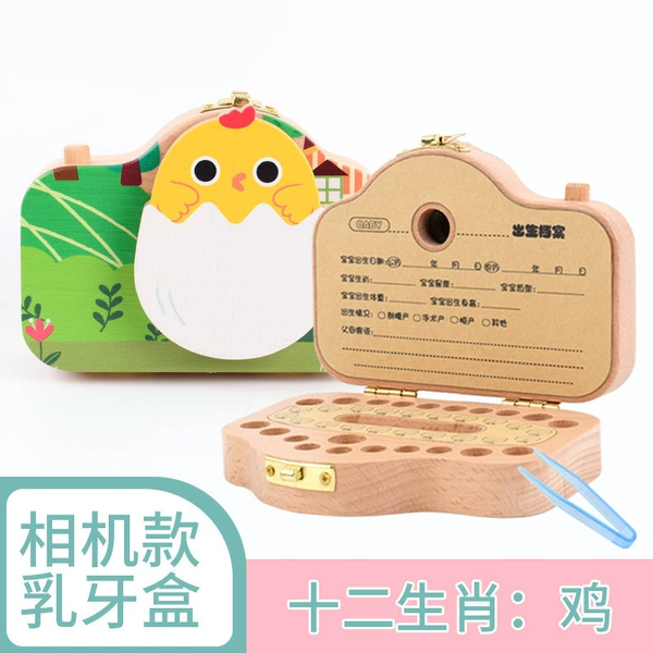 Camera model-chicken