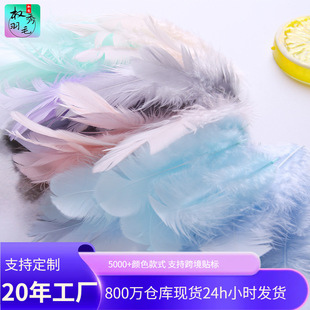 �����F؛��ɫ��ëdiy��ë�����W؈����Ʒ�����ˇƷ�b���
