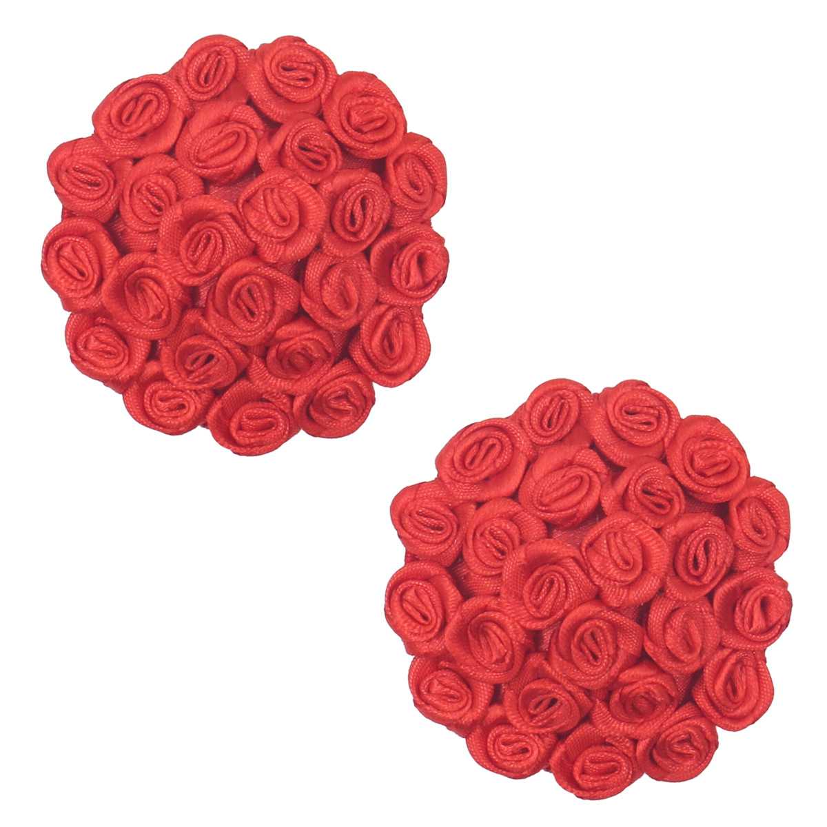 둥근 빨간 장미 (24)