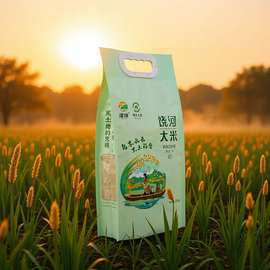 大米包装袋便携手提食品袋大米包装四边封立体外袋哑光塑料复合袋