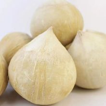 泰国当季椰子椰皇新鲜泰国奶香椰子泰国香水椰老嫩随机发跨境电商