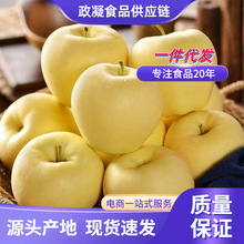 ��ȫ�꡿ɽ�|���͸�ʿ 5�����r���������S�O������ˮ���ǎ�