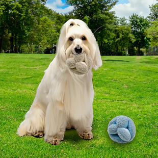 �羳��ƷSnuffle Ball�������ﹷ����bb�аlë�q���ҧ����