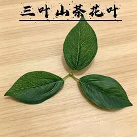 仿真植物山茶花叶胶布叶子婚庆装饰 仿真叶子材料柠檬叶假花配件