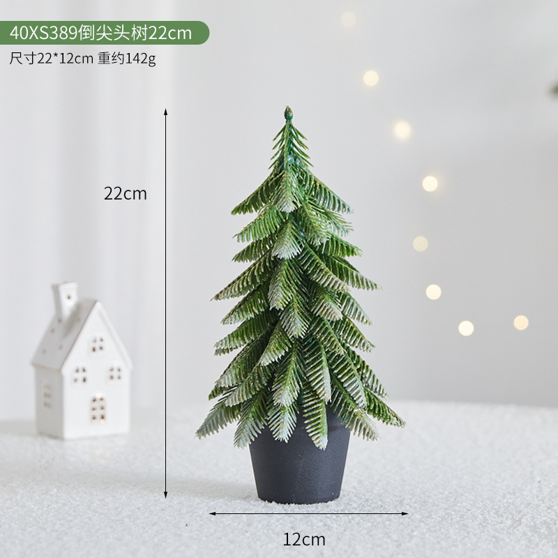 40XS389 역뾰족나무 22cm