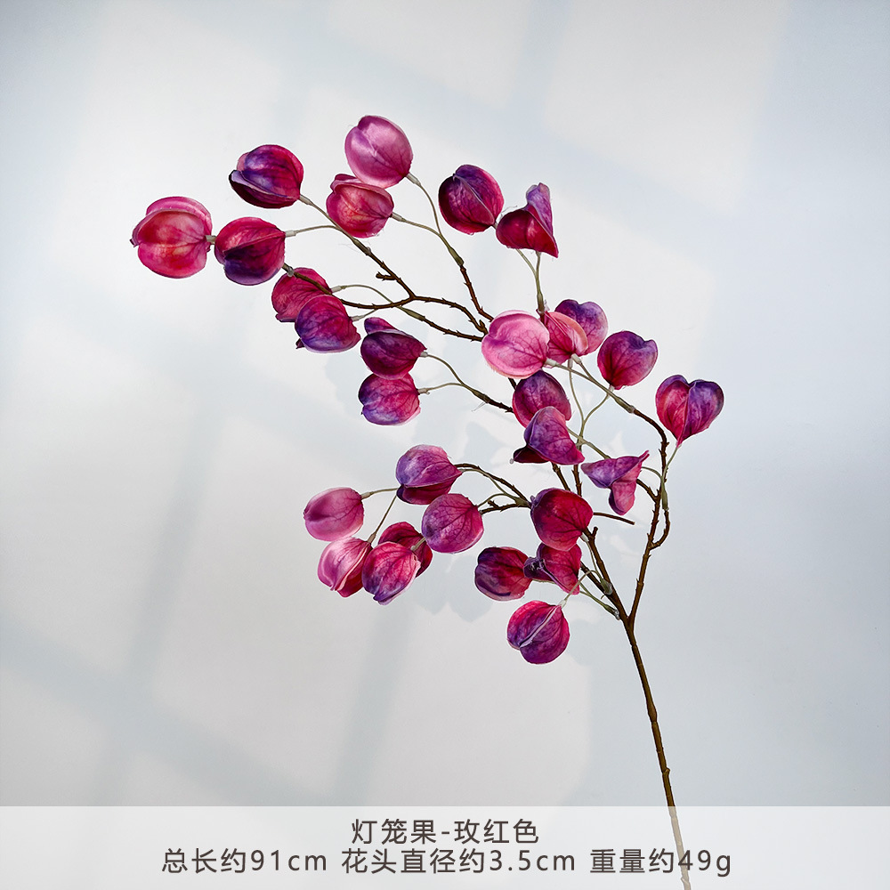 เค-แลนเทิร์น ผลไม้-สีแดงกุหลาบ