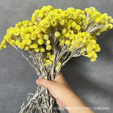 ��СϞ�ա�������СϞ�� �ҾӔ[�O��cܛ�b�b��Ĕz���߲廨�S��