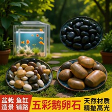��Ȼ�Z��ʯСʯ�^ʯ���껨ʯԭʯͥԺ�~�׻����쾰���ʯ���Zܛʯ