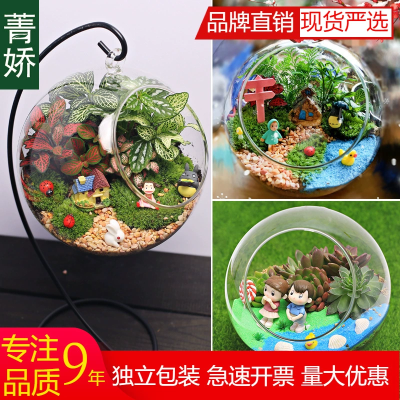 [16 см] Большой мох микро-ландшафтный материал DIY пакет столешница цветочный бонсай подарок на день рождения бутылка