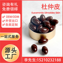 Ƥz Eucommia bark Դ^SaƼӹ羳OEM