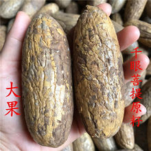 精品千眼菩提子原籽原料按斤大果阴皮绿果文玩菩提果把玩挂件天然