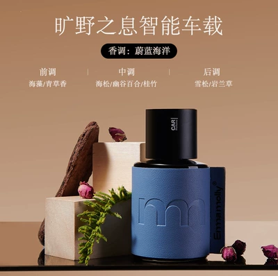 Emma Molly Smart Car Aromatherapy Car Perfume Aromatherapy - breath-of-the-wild-smart-car-fragrance-diffuser-ocean-scent-small-shopping-bag