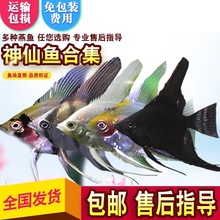 �~�߲���ʹ�~�������~��Ꭷ�^�p�~��؈�ʯ�ڰ׻��w�������