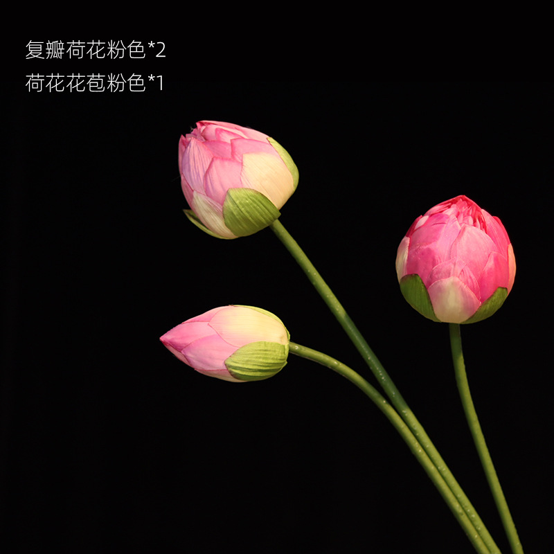 Lotus Pink Mix 3 ramas