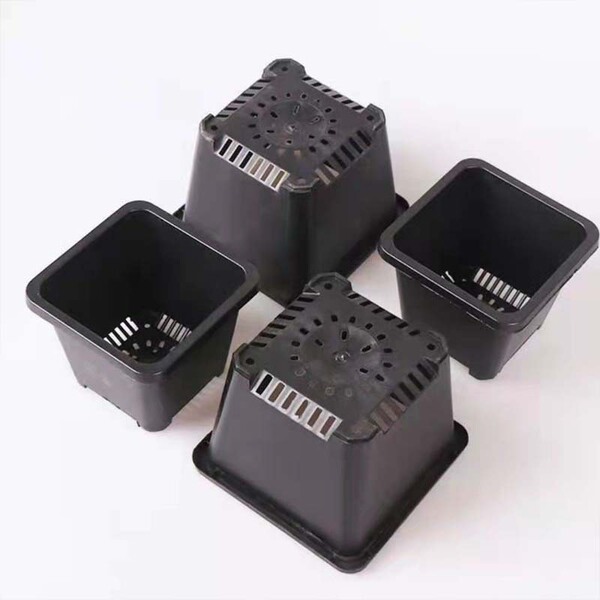white black square flowerpot flower-shaped