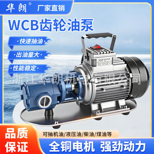 �¿�WCB��yʽ�����X݆��늄ӳ��ͱÙC�Ͳ���Һ����ú��220V����
