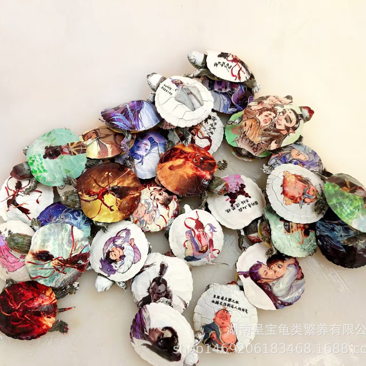 2025-02-24 20:34:35.jpg