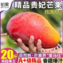 树上熟礼盒 20斤超大海南贵妃芒新鲜芒果当季水果整箱包邮脆甜10