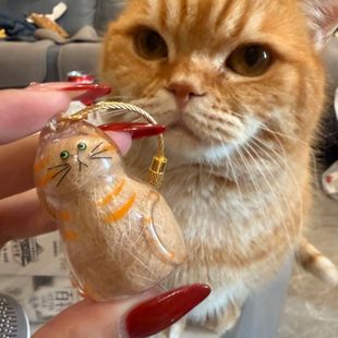 Cat Storage Box for Storing Fur Collection Charms, Cat Keychain Pendant, Fur Capsule Gashapon Capsule