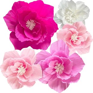 ��ɫ���w���y������Y�c�䲼���ް����Ɍ����滨�����b���Ʒ���b